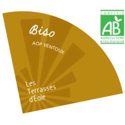 Biso 2024